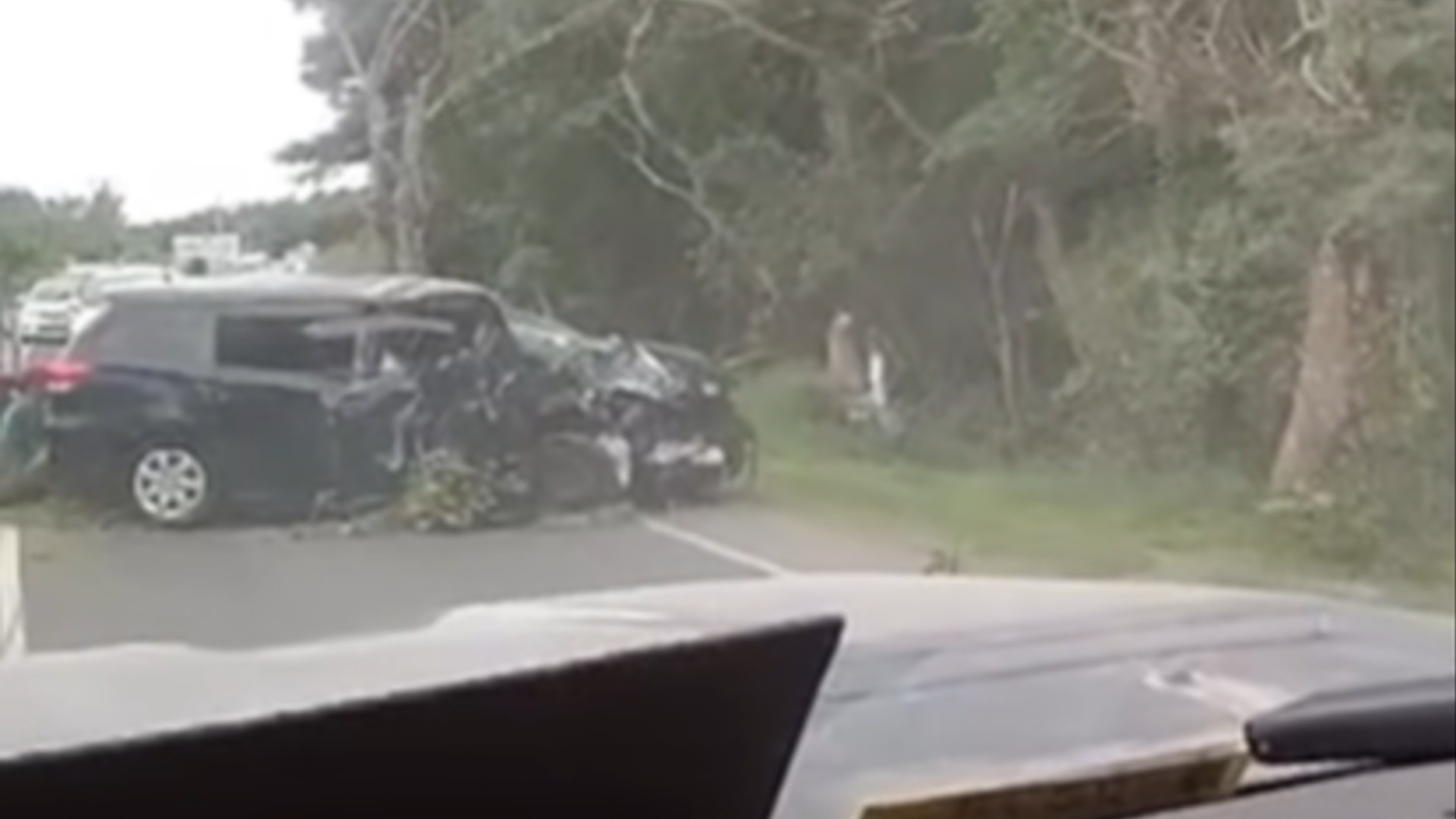 Tragedy in Sigatoka: Man dies in fatal head-on collision