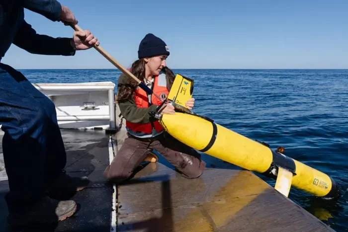 Trump Administration Eyes Tech Over Speed Limits to Save Endangered Whales