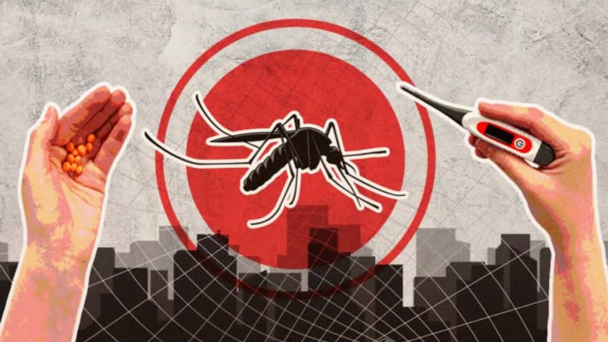 Dengue Fever Surge: 672 Hospitalised in Single Day as Death Toll Hits 61