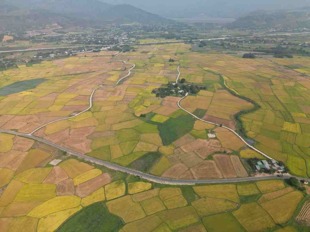 American couple saves 78 acres of land from massive housing project